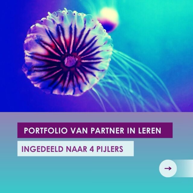 Ghislaine Hoenderboom van Partner in Leren heeft ruime ervaring met vraagstukken, projecten en activiteiten die met leren te maken hebben. Het portfolio van Partner in Leren is ingericht rond 4 pijlers:

1️⃣ Online leren
2️⃣ Ontwerp opleidingen
3️⃣ Toetsing & examens
4️⃣ Onderzoek

Nieuwsgierig welke pijler past bij jouw vraagstuk of project? Of een idee dat je wilt voorleggen? Stuur dan vooral een bericht. We denken graag met je mee!

Het complete portfolio vind je op de website, via de link in de bio.

#onderwijskundige #partnerinleren #onlineleren