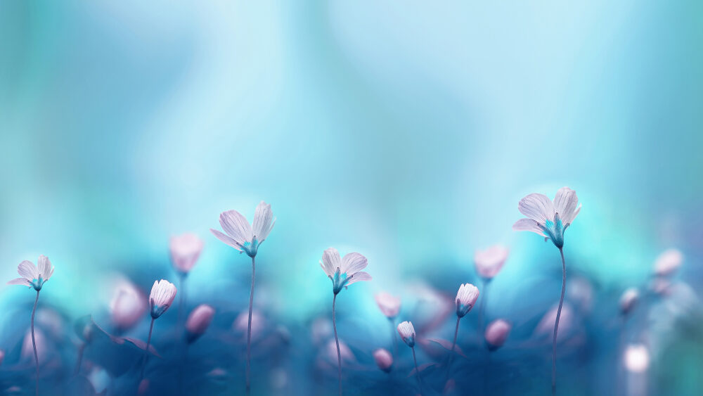 Innoverende arbeidsmarkt en scholing