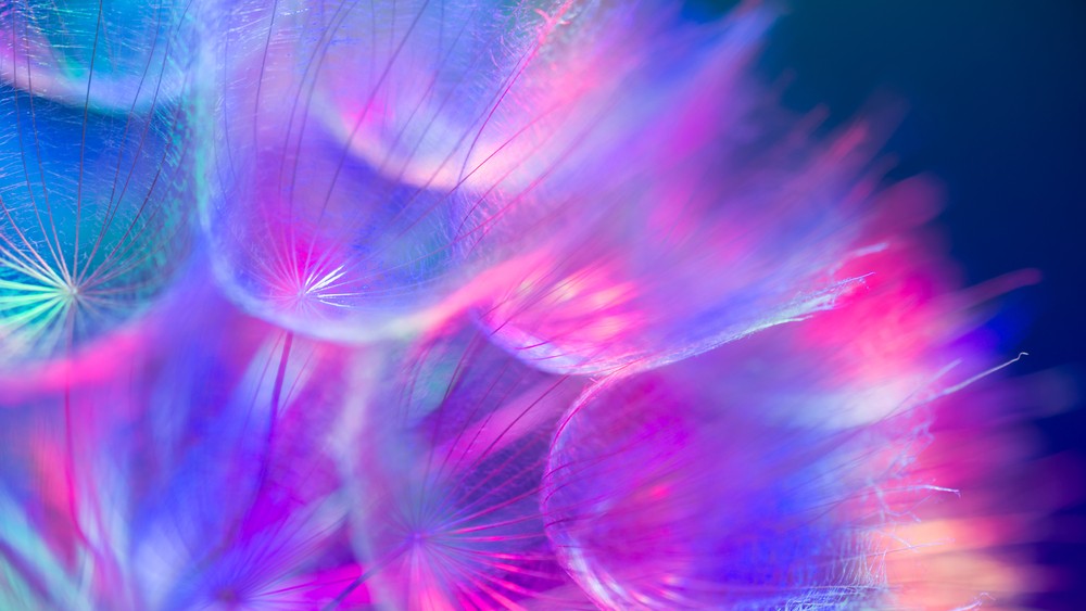 Challenge-Based Learning (2)